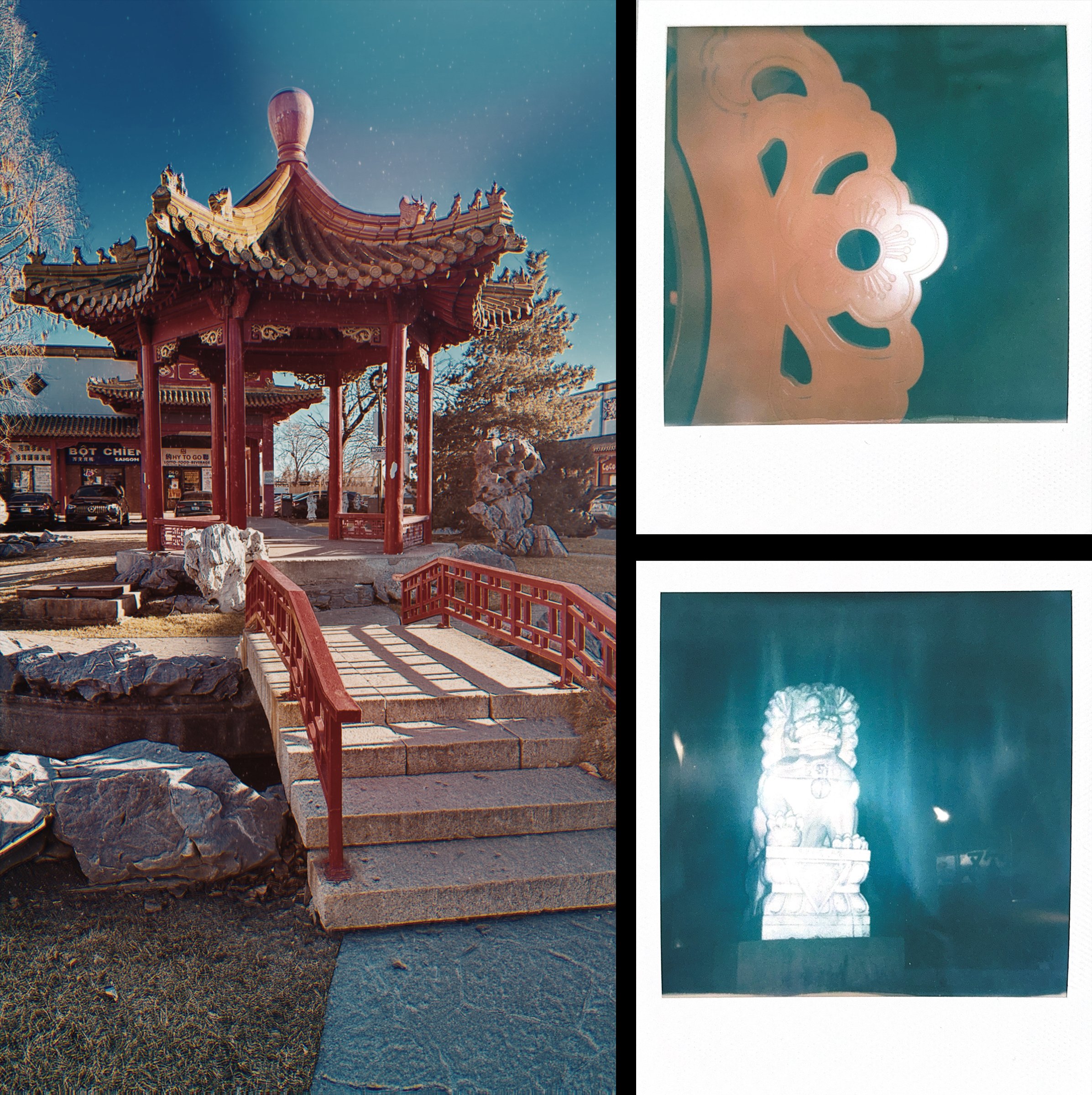 Chinatown Reverie